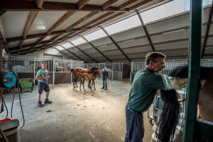 Pen Wilbertoord paardenpraktijk