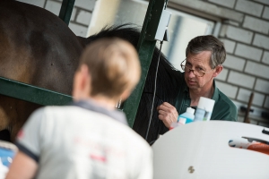 Pen Wilbertoord inseminatie embyotransplantatie paard